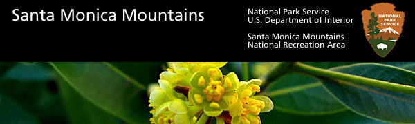 SMM WildFlowers home page banner